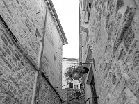 Kotor